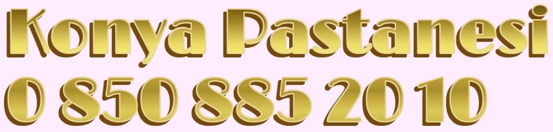 Konya Selçuklu Beyazıt Mahallesi pastanesi doğum günü yaş pasta siparişi ver adrese doğum günü pastası yolla